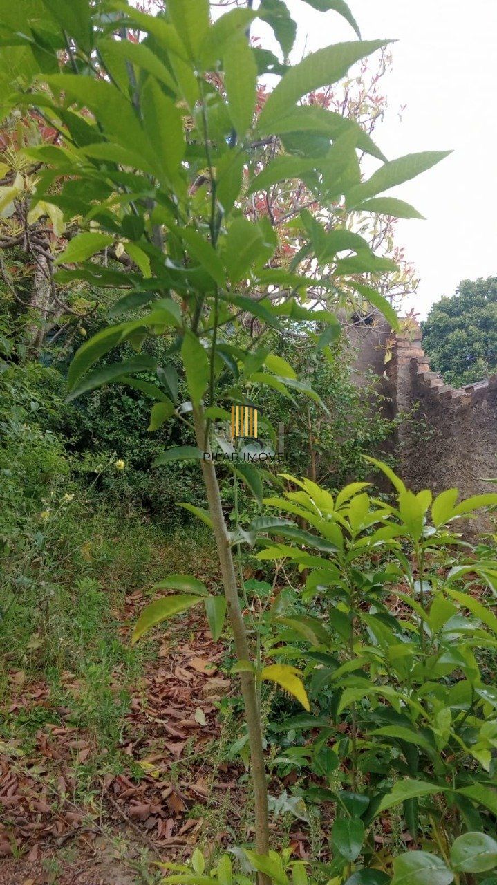 Terreno para Venda - 356.4m², 0 dormitórios, Coronel Aparício Borges