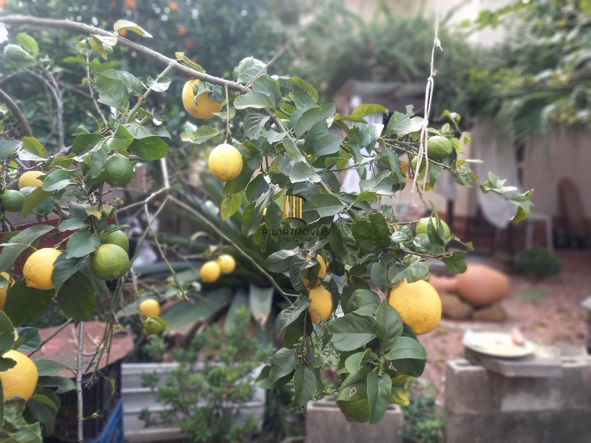 Excelente sobrado 242m²/3dormitórios/Moinhos de Vento/Canoas