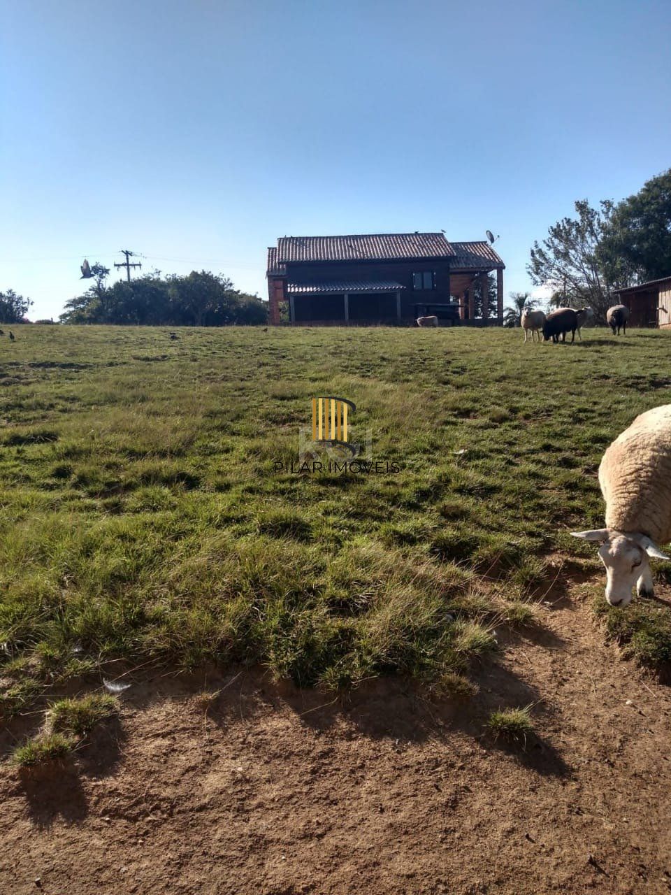 Sítio para Venda - 500m², 2 dormitórios, Krahe