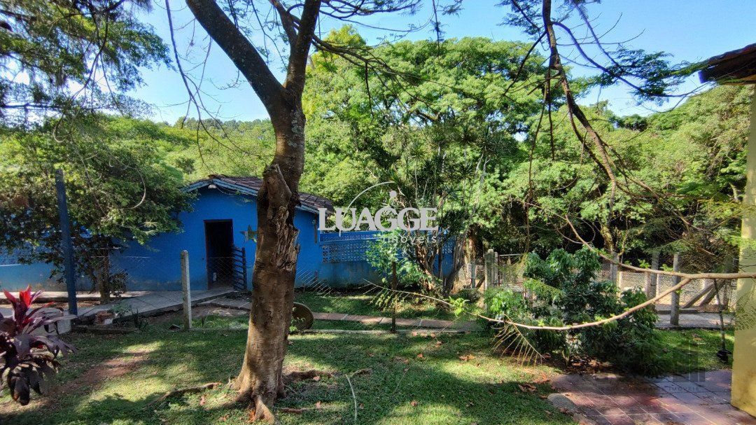 Sítio à venda com 3 quartos, 351m² - Foto 15