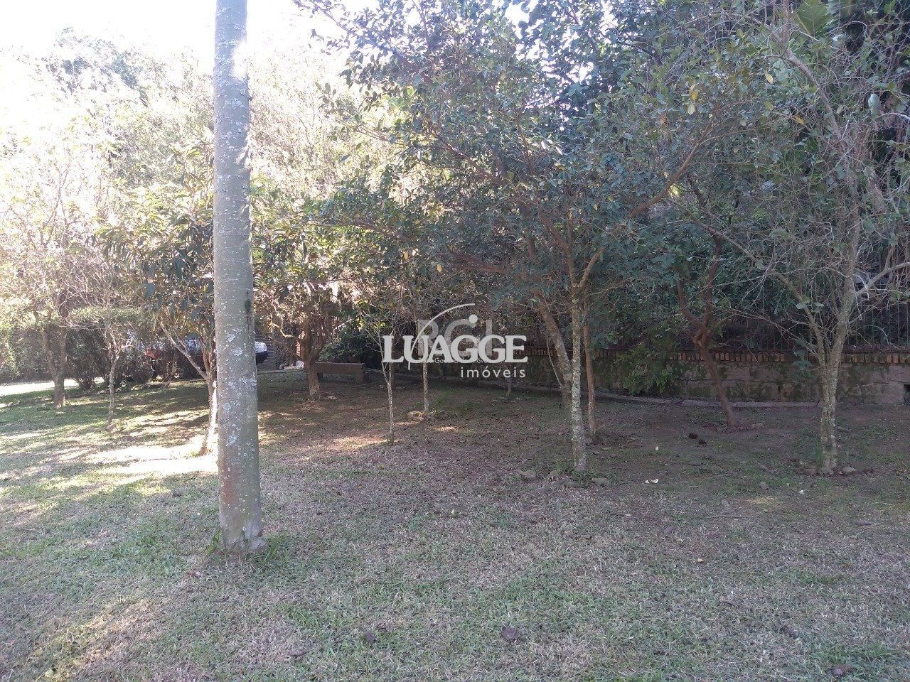 Casa à venda com 13 quartos, 6662m² - Foto 16