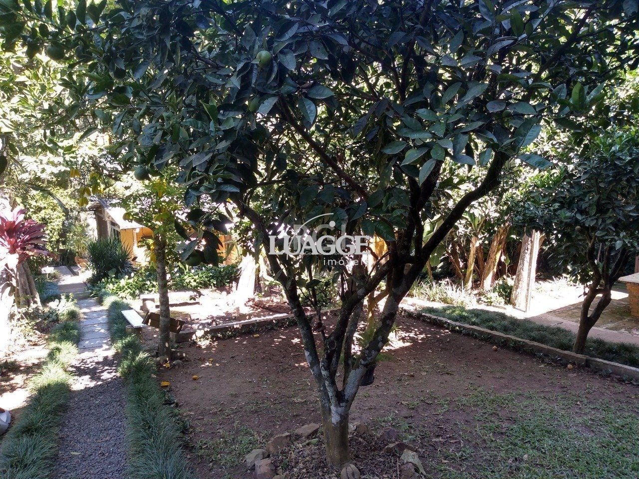 Casa à venda com 13 quartos, 6662m² - Foto 36
