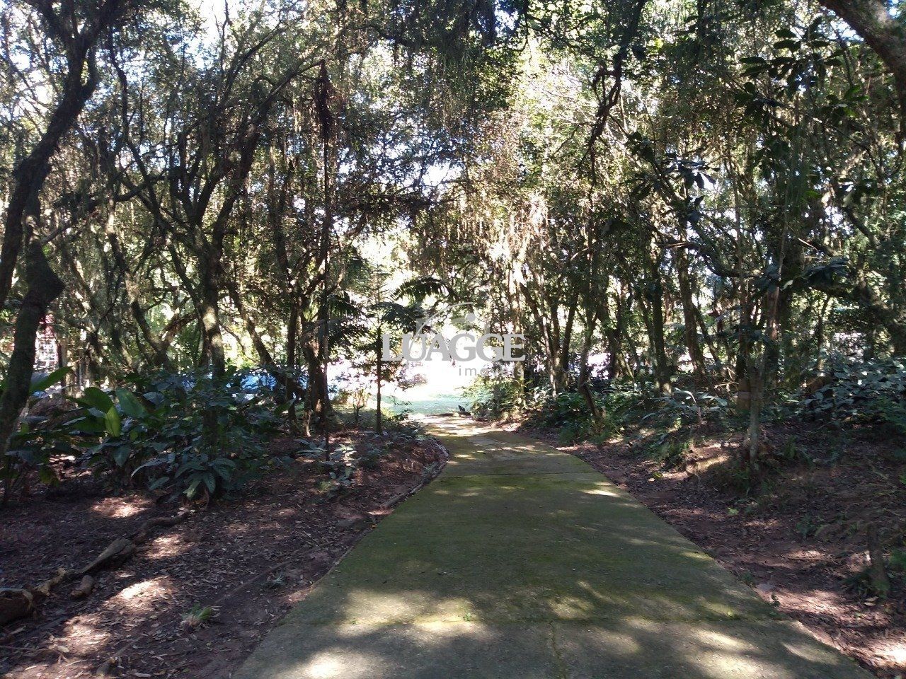 Casa à venda com 13 quartos, 6662m² - Foto 106