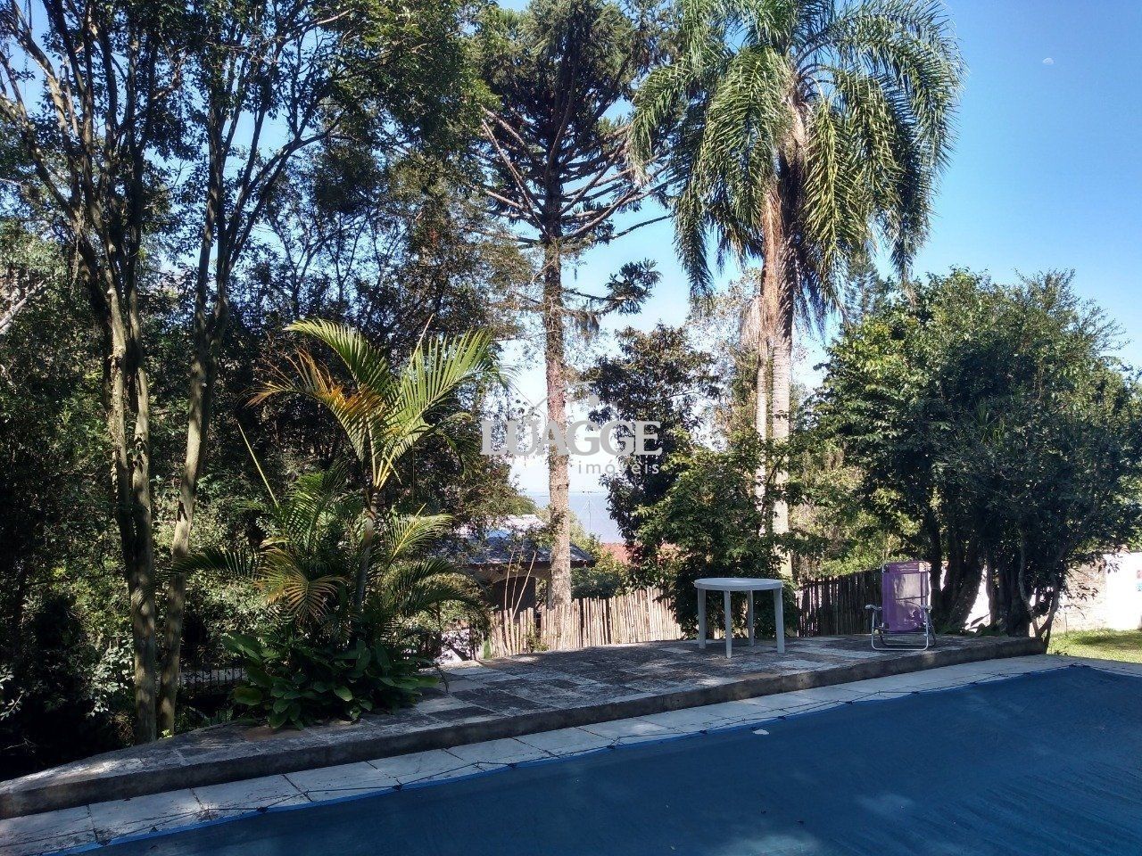Casa à venda com 13 quartos, 6662m² - Foto 4