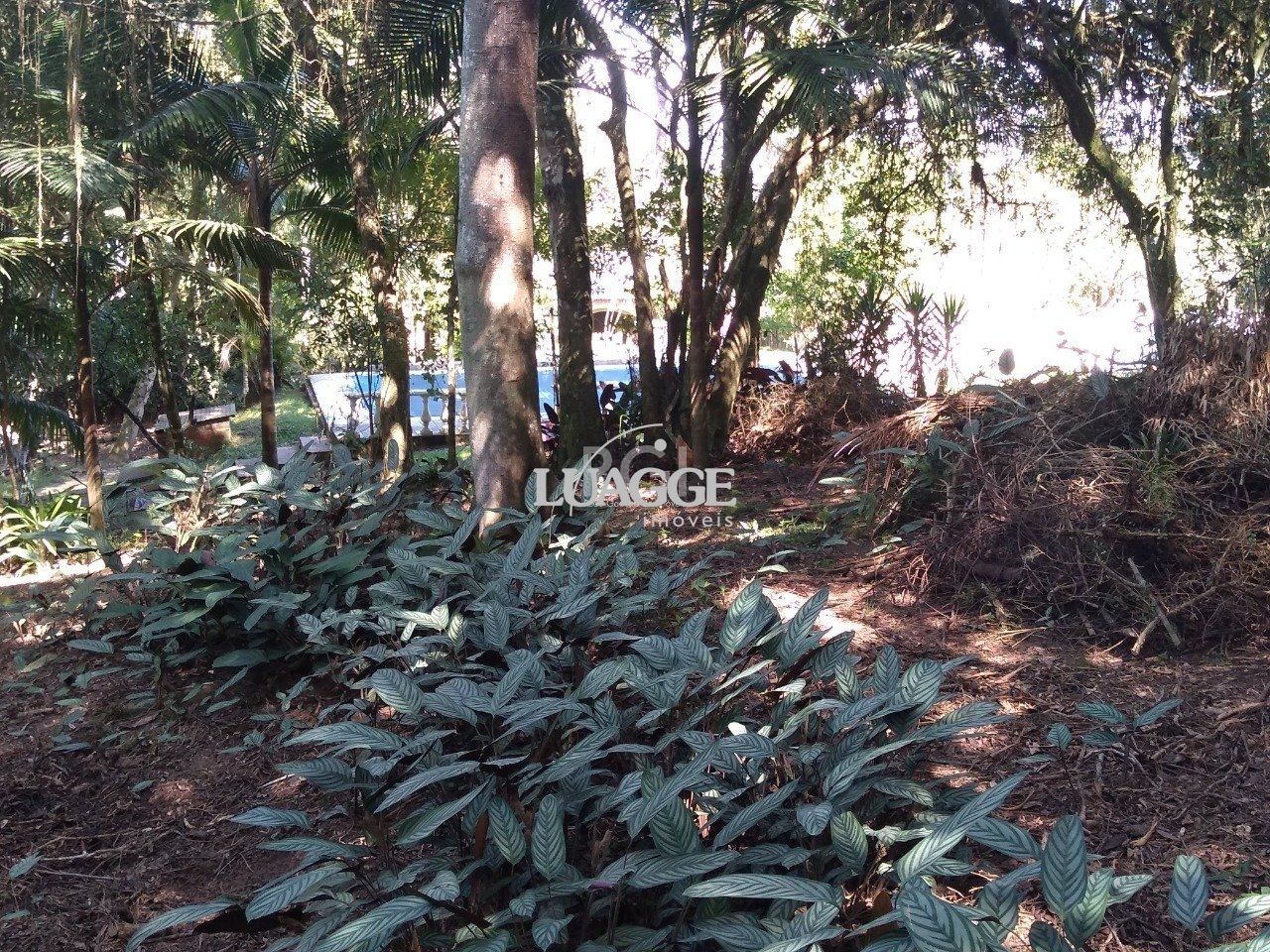 Casa à venda com 13 quartos, 6662m² - Foto 83