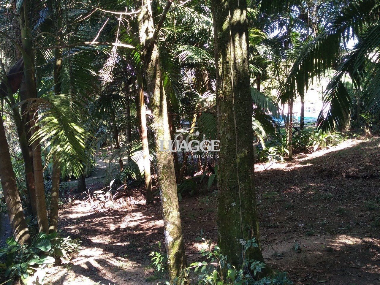 Casa à venda com 13 quartos, 6662m² - Foto 79