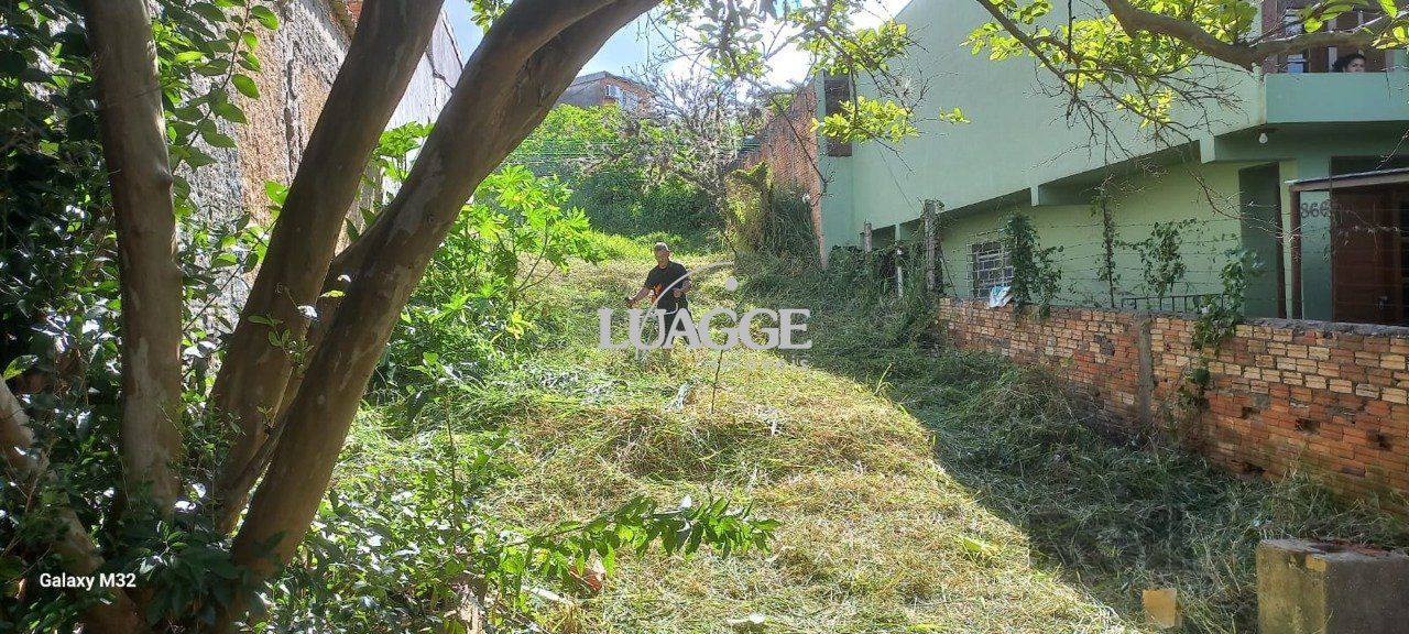 Terreno à venda, 365m² - Foto 3