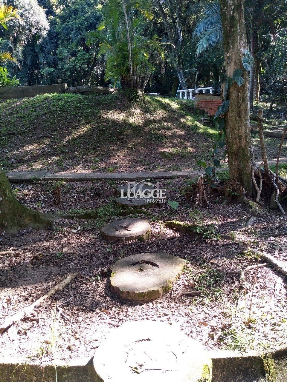 Casa à venda com 13 quartos, 6662m² - Foto 10
