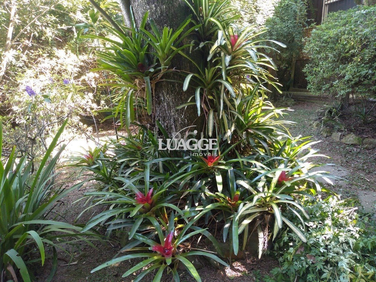 Casa à venda com 13 quartos, 6662m² - Foto 12