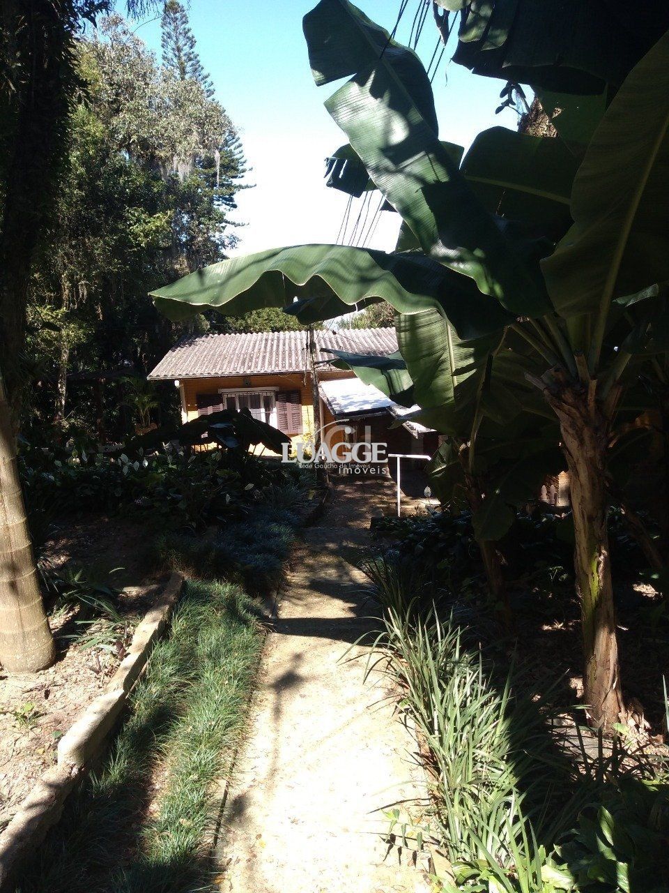 Casa à venda com 13 quartos, 6662m² - Foto 38