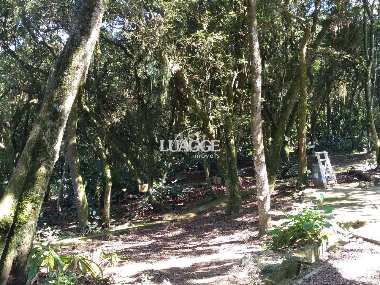 Casa à venda com 13 quartos, 6662m² - Foto 85