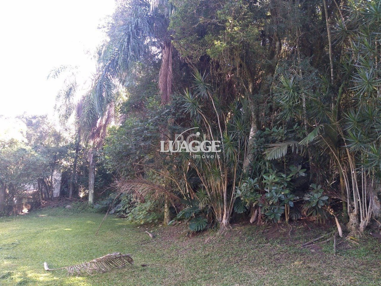Casa à venda com 13 quartos, 6662m² - Foto 7