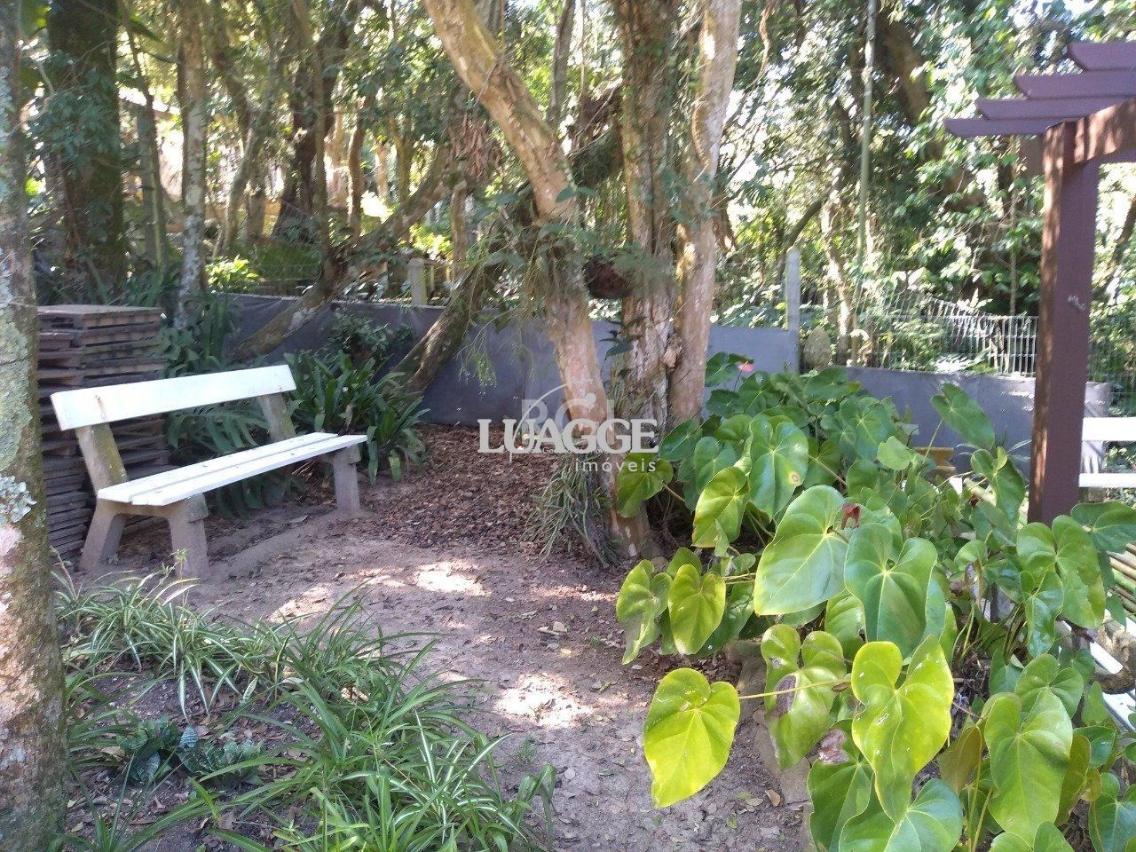Casa à venda com 13 quartos, 6662m² - Foto 23
