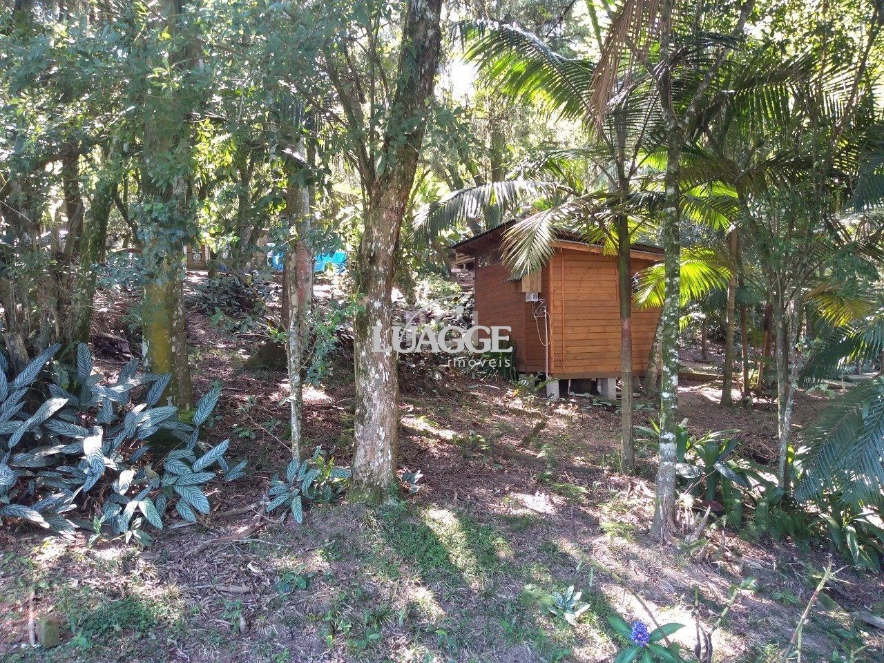 Casa à venda com 13 quartos, 6662m² - Foto 105