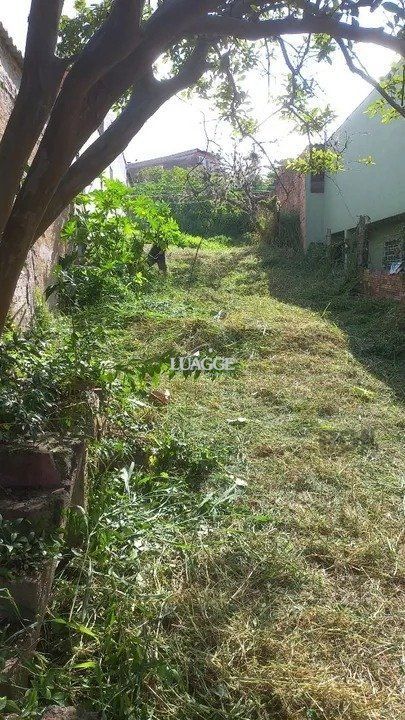 Terreno à venda, 365m² - Foto 2