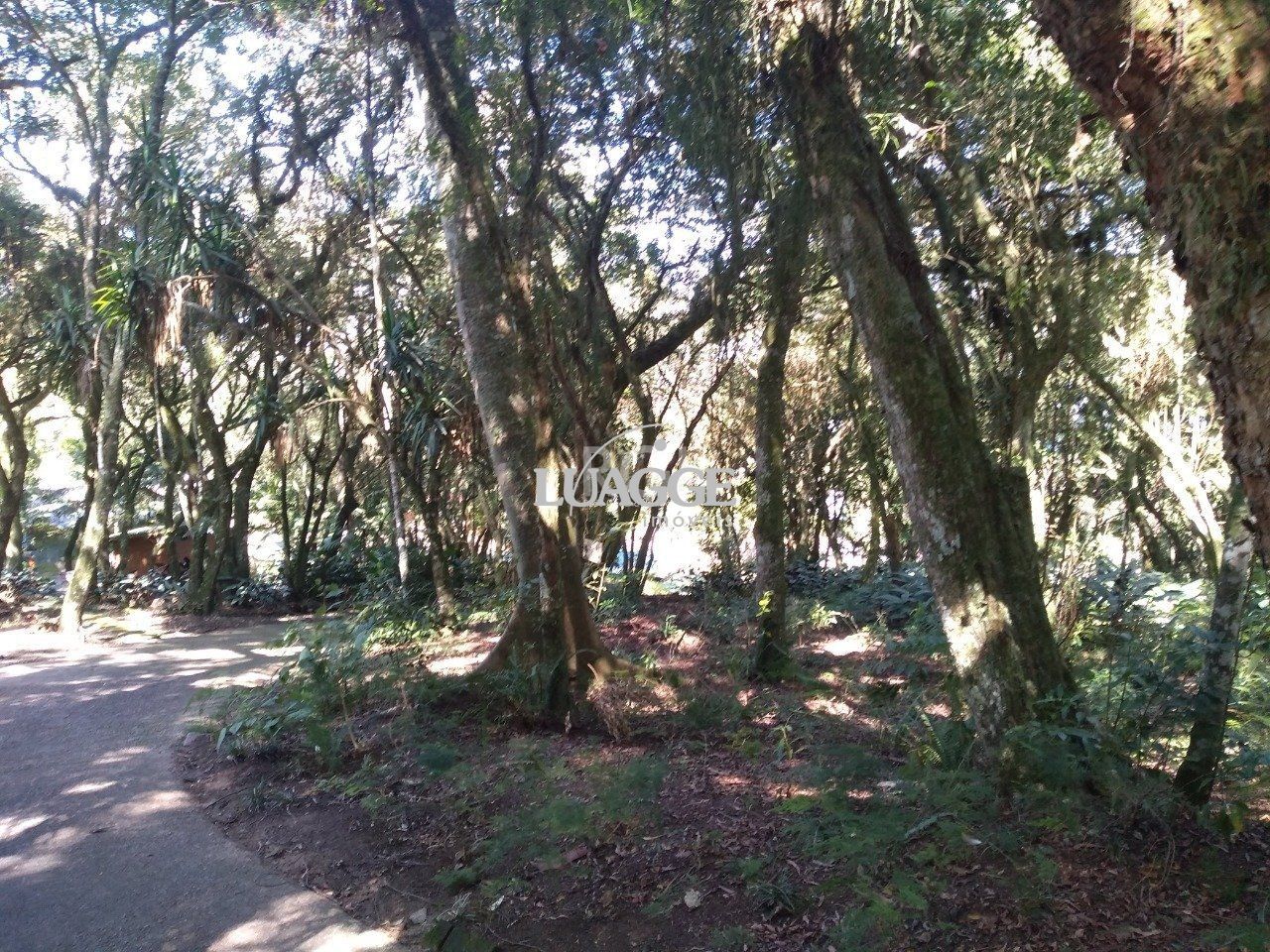 Casa à venda com 13 quartos, 6662m² - Foto 107