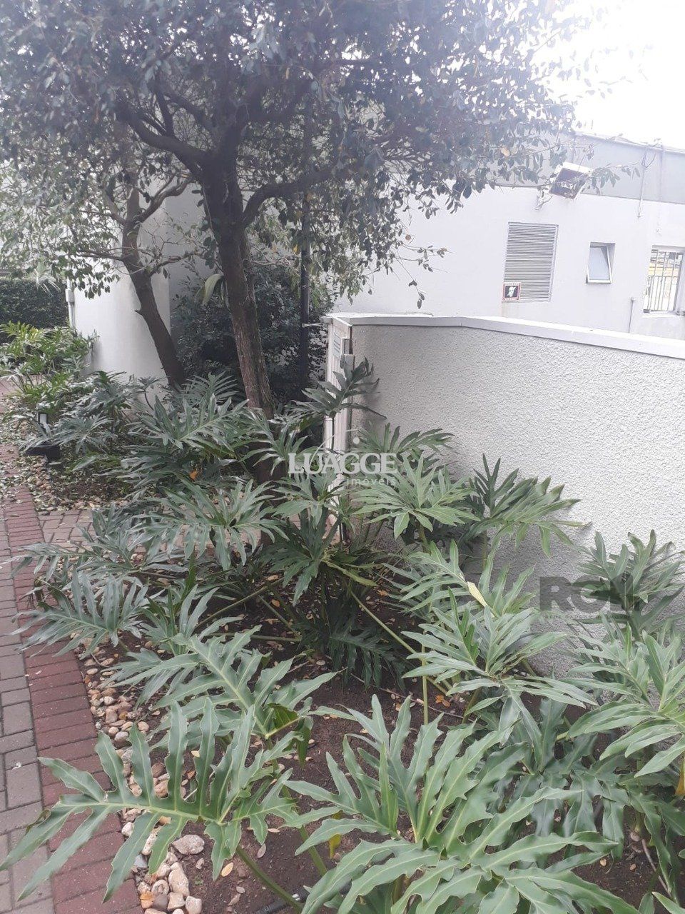 Apartamento à venda com 2 quartos, 50m² - Foto 21