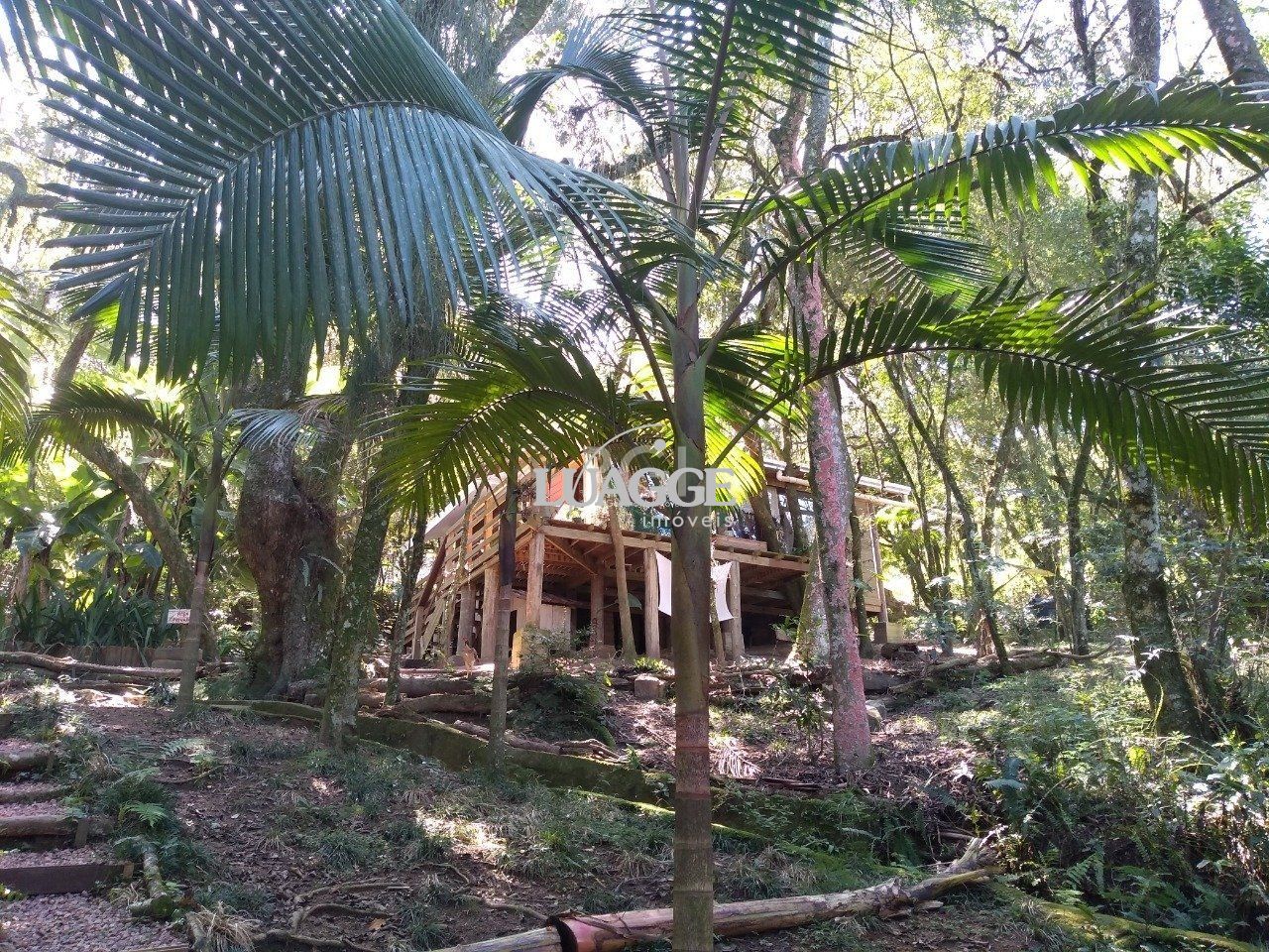 Casa à venda com 13 quartos, 6662m² - Foto 99