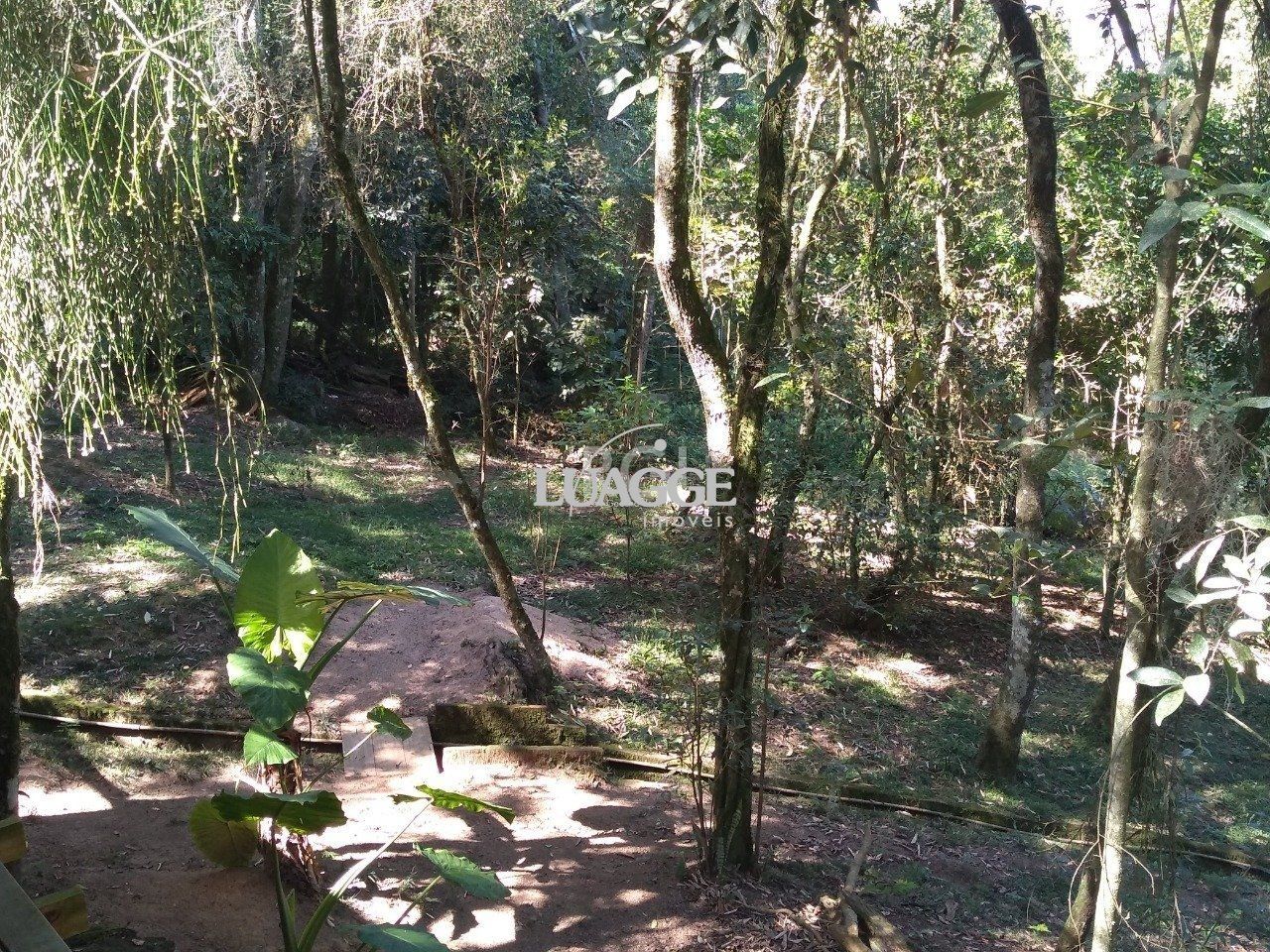 Casa à venda com 13 quartos, 6662m² - Foto 87