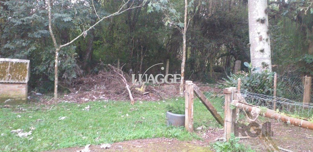 Sítio à venda com 3 quartos, 251m² - Foto 11