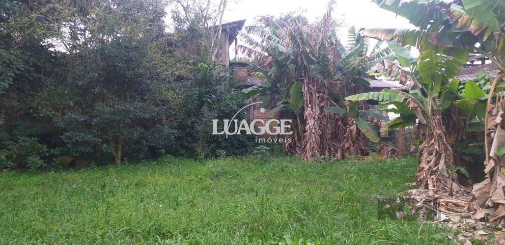 Sítio à venda com 3 quartos, 251m² - Foto 17