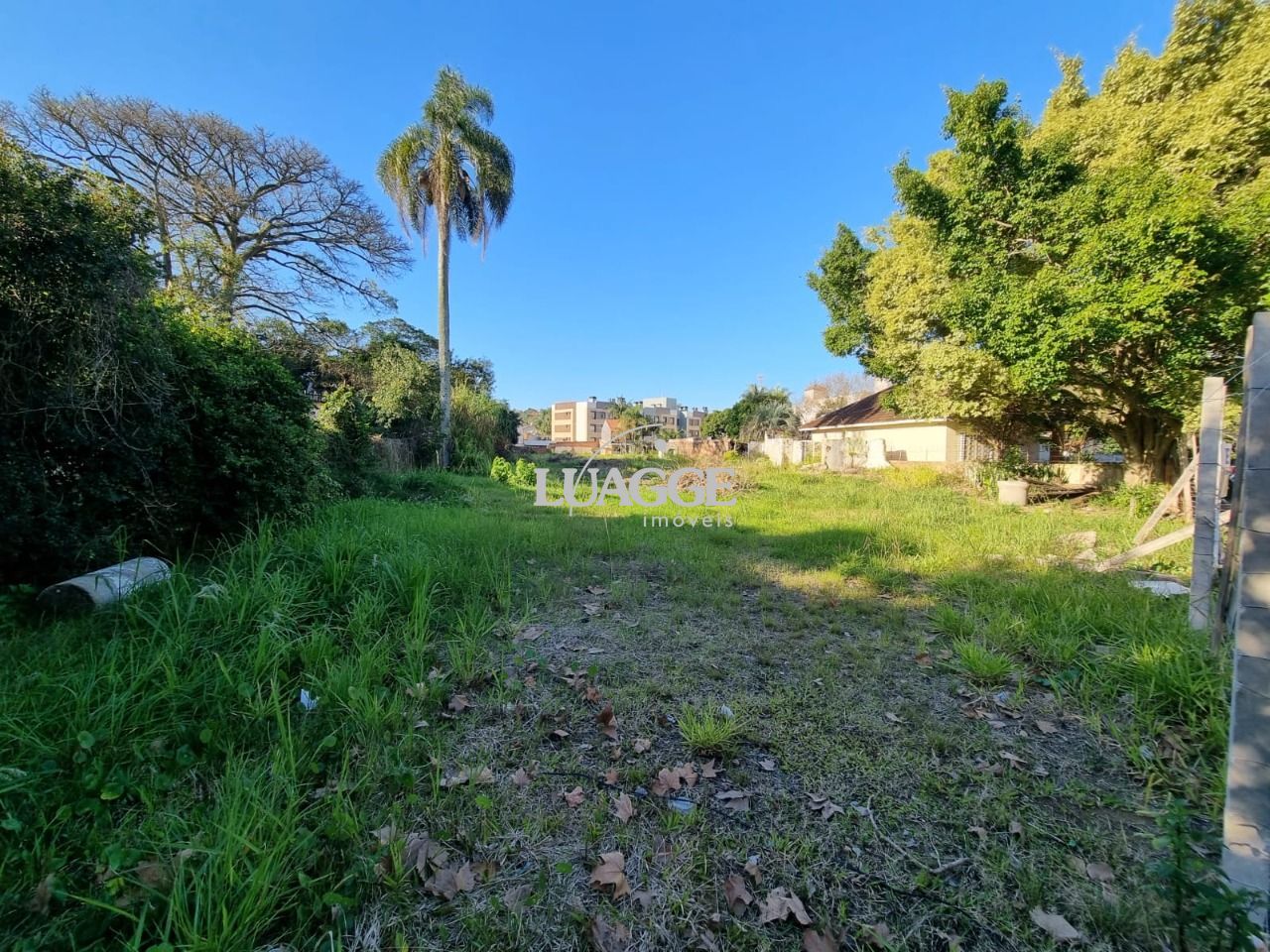Terreno à venda, 1100m² - Foto 3
