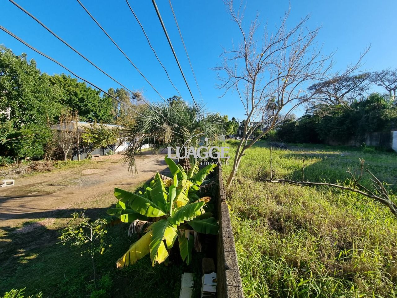 Terreno à venda, 1100m² - Foto 1