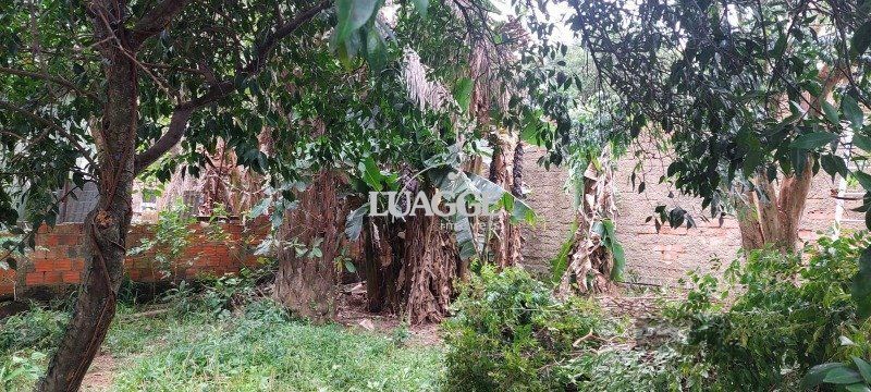 Terreno à venda, 550m² - Foto 4