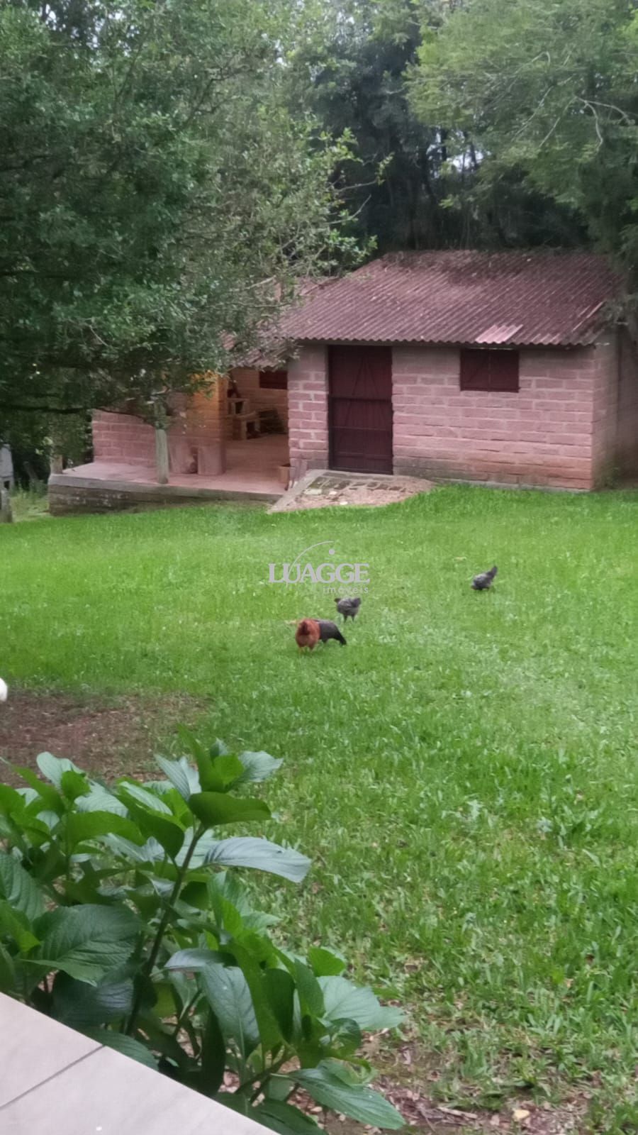 Sítio à venda com 3 quartos, 1m² - Foto 10