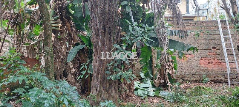Terreno à venda, 550m² - Foto 6
