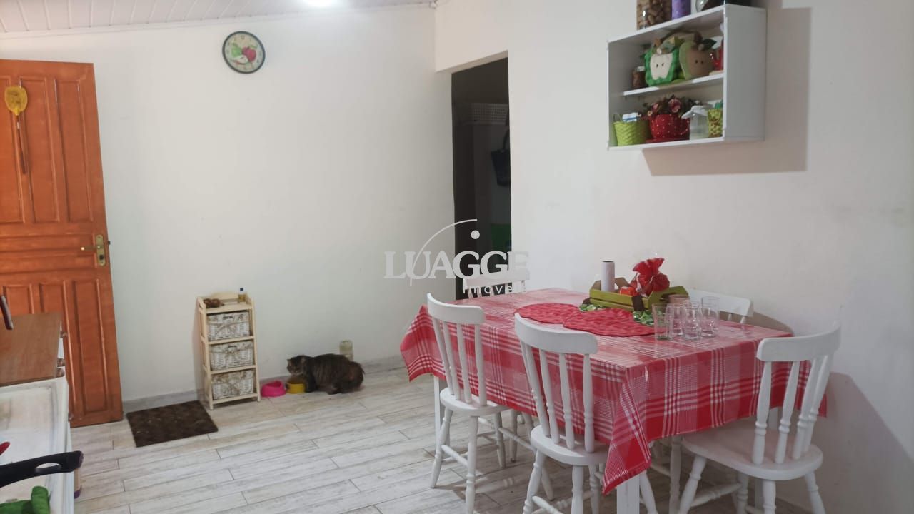 Sítio à venda com 3 quartos, 1m² - Foto 13