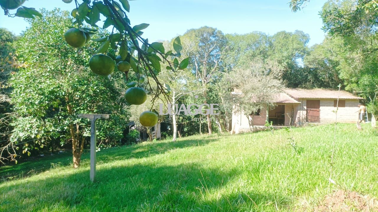 Sítio à venda com 3 quartos, 1m² - Foto 19
