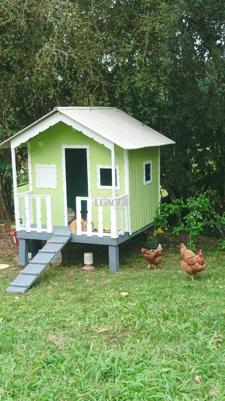 Sítio à venda com 3 quartos, 1m² - Foto 16