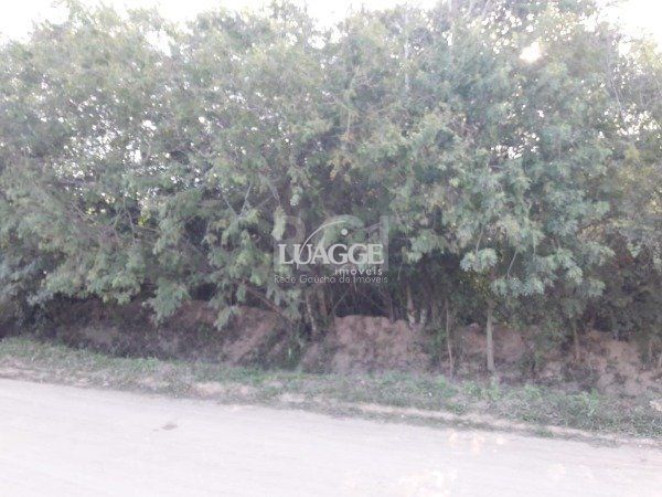Terreno à venda, 1002m² - Foto 3