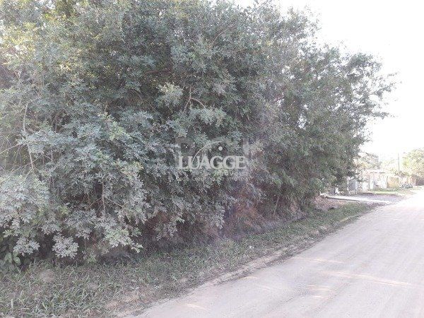 Terreno à venda, 1002m² - Foto 4