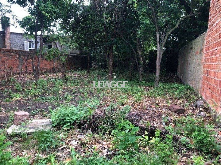 Terreno à venda, 392m² - Foto 1
