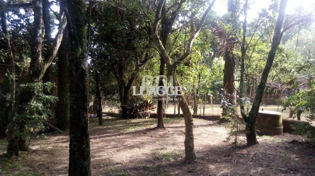Sítio à venda com 3 quartos, 99m² - Foto 33