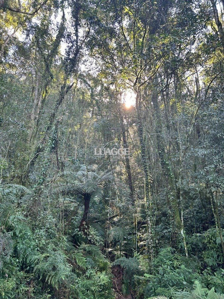 Sítio à venda, 20002m² - Foto 12