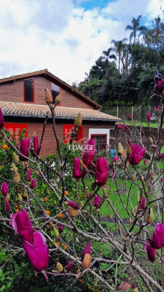 Casa à venda com 2 quartos, 162m² - Foto 7