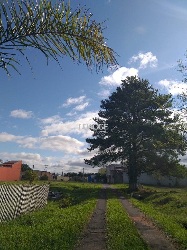 Terreno à venda, 20000m² - Foto 6
