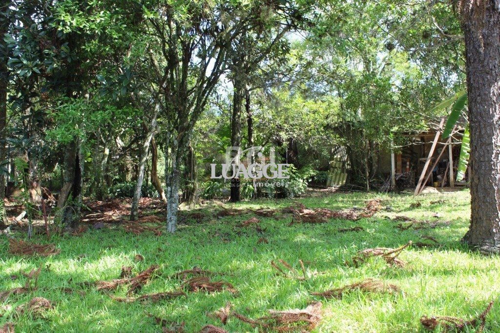 Sítio à venda com 3 quartos, 99m² - Foto 15