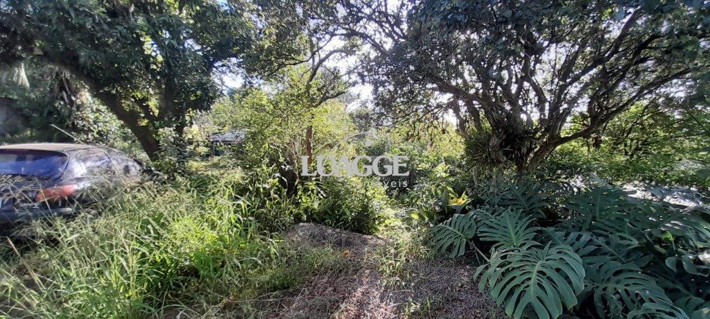 Terreno à venda, 1627m² - Foto 11