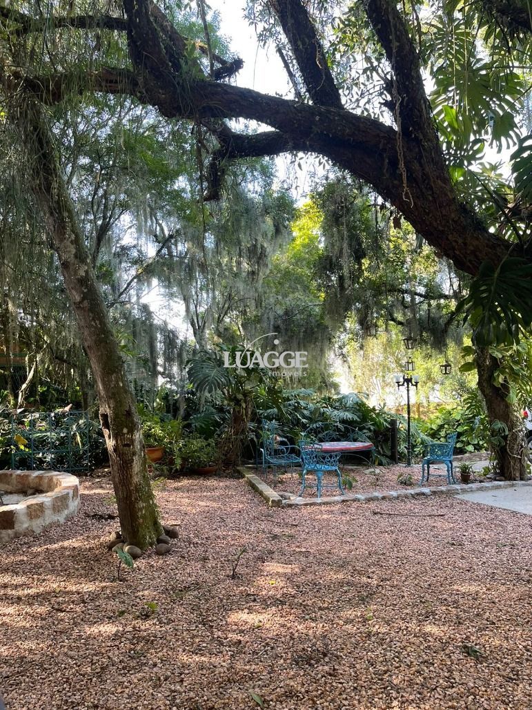Sítio à venda com 3 quartos, 4502m² - Foto 16