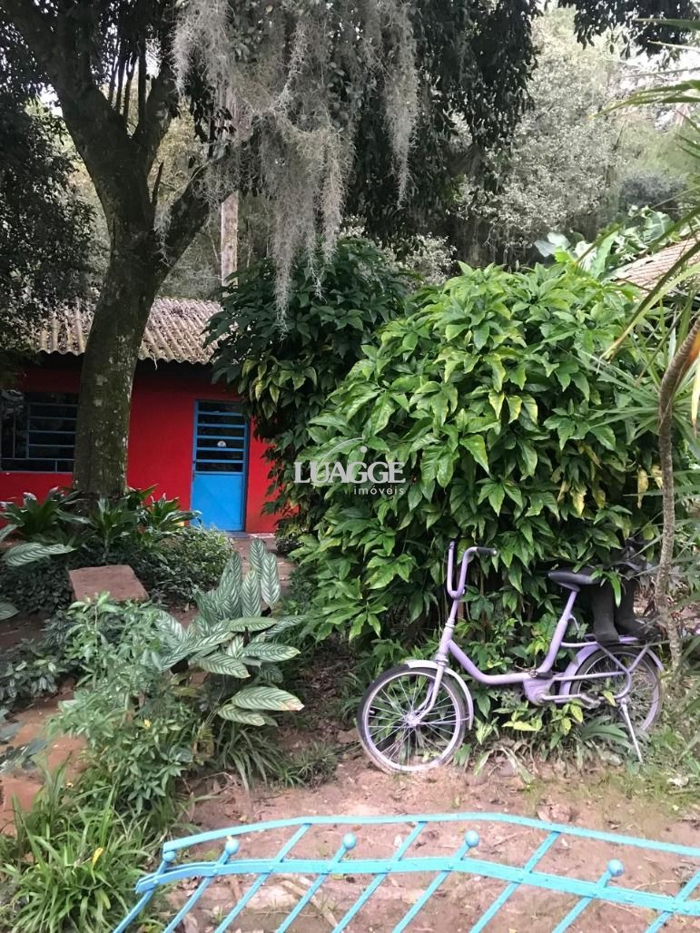 Sítio à venda com 3 quartos, 4502m² - Foto 10