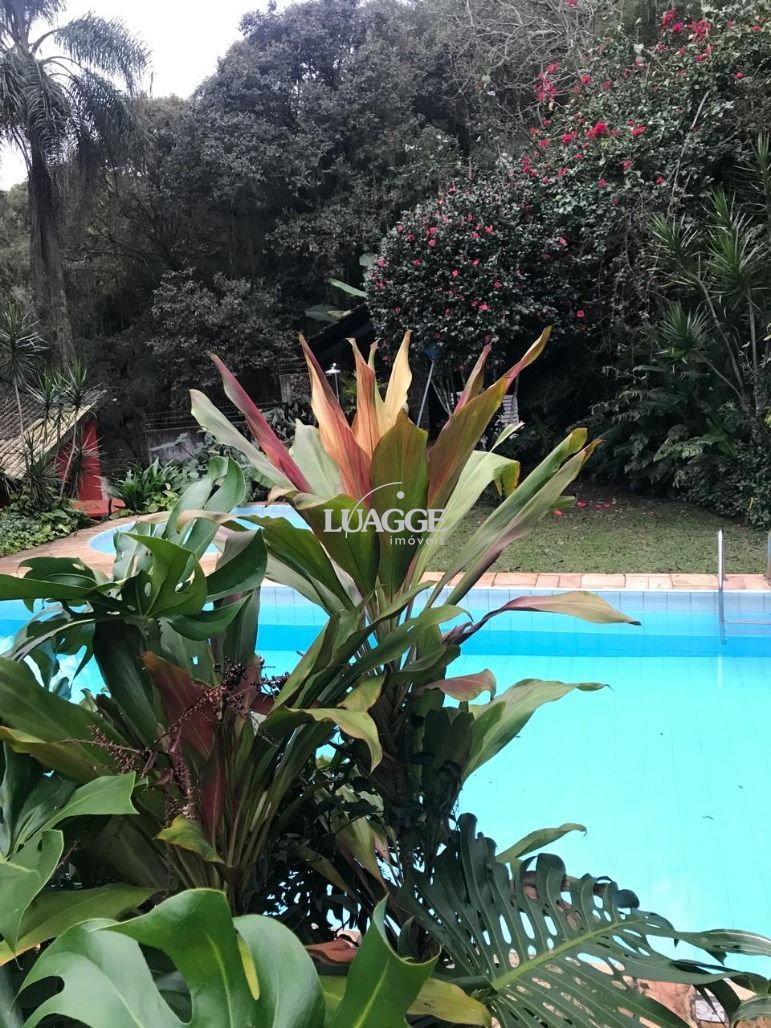 Sítio à venda com 3 quartos, 4502m² - Foto 6