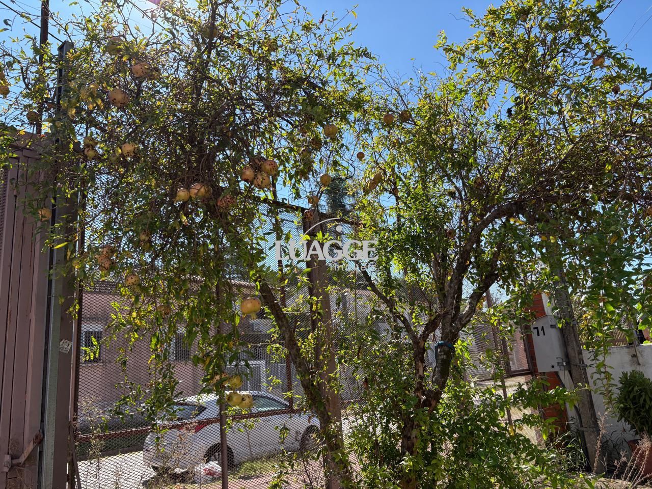Casa à venda com 2 quartos, 180m² - Foto 31