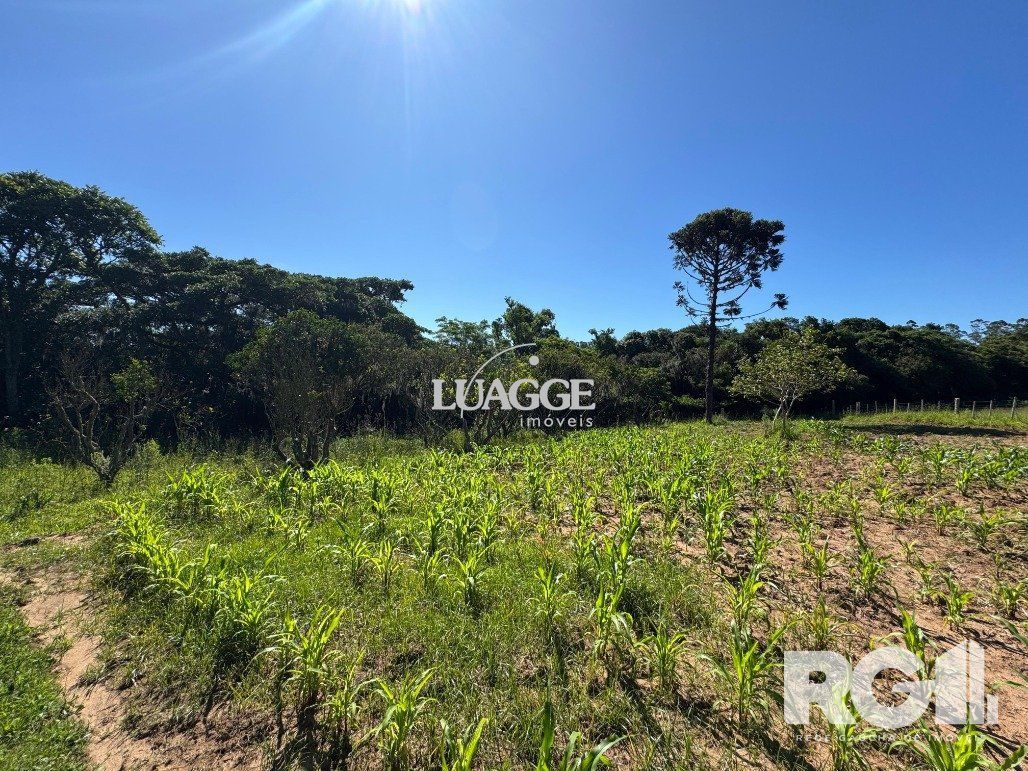 Sítio à venda com 3 quartos, 140m² - Foto 19