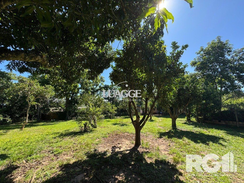 Sítio à venda com 3 quartos, 140m² - Foto 22