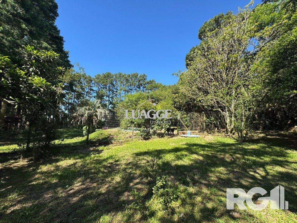 Sítio à venda com 3 quartos, 140m² - Foto 14