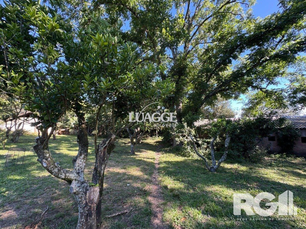 Sítio à venda com 3 quartos, 140m² - Foto 11